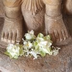 Bloemen-offers-Ruwanweliseya-anuradhapura