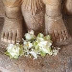 Bloemen-offers-Ruwanweliseya-anuradhapura
