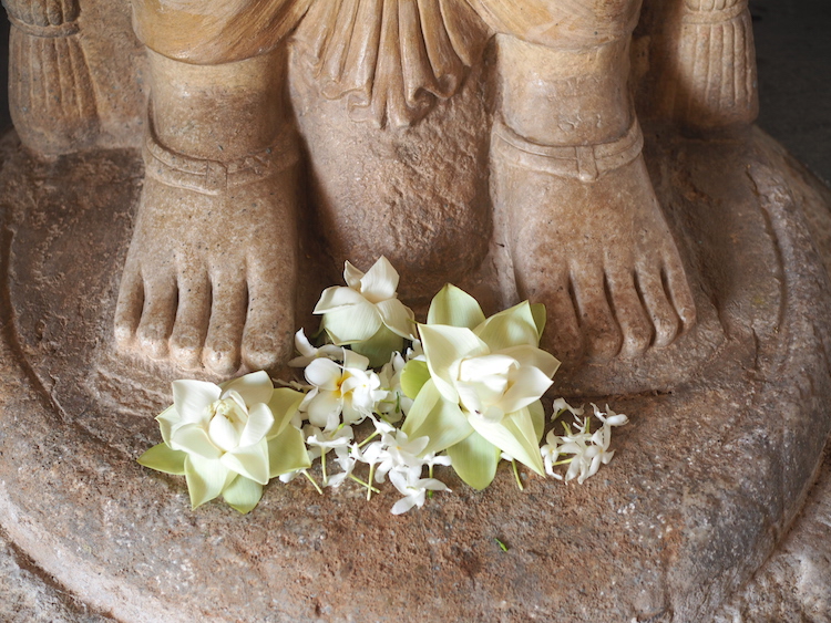 Bloemen-offers-Ruwanweliseya-anuradhapura