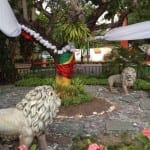Bob Marley Museum Jamaica