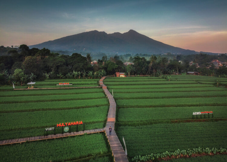 Bogor java west