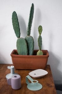 Bohemian interieur cactus