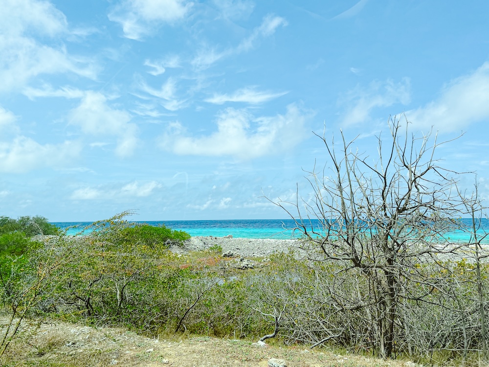 Bonaire natuur zoutvlakte