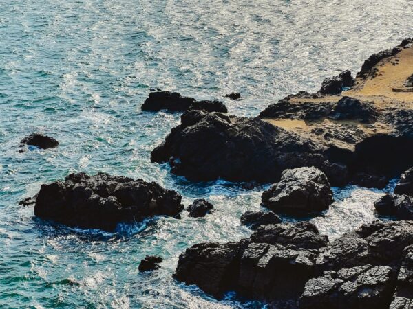 Boottour rotsen Paracas