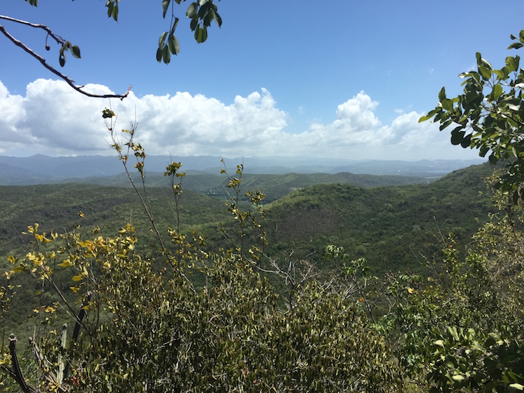 Bosque Guanica puerto rico caribbean