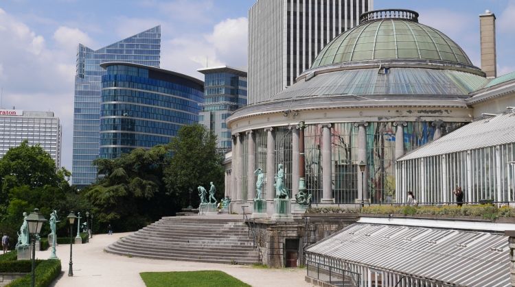 Brussel tips