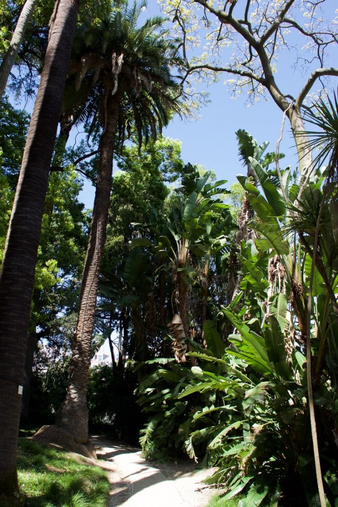 Botanische tuin in lissabon