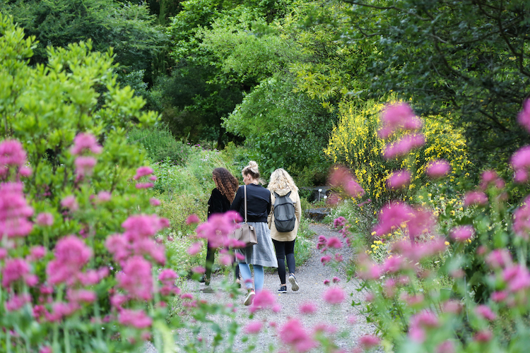Botanische tuin in zurich wandeling