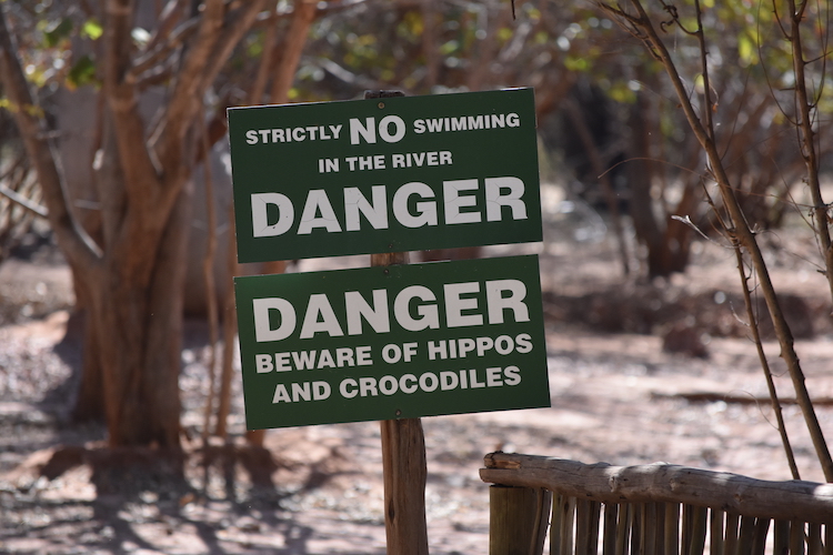 Botswana pas op voor nijlpaarden en krokodillen