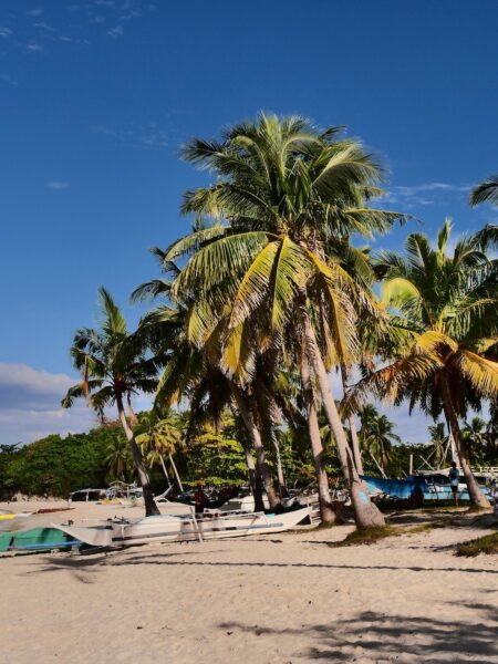 Bounty Beach malapascua stranden