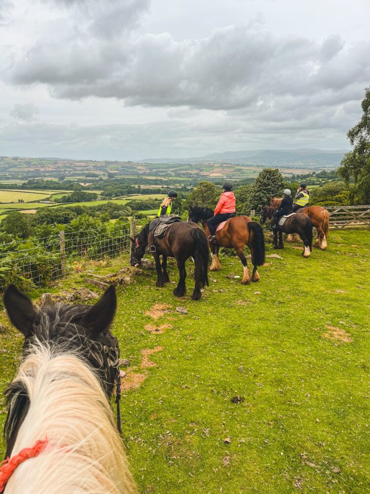 Brecon Beacons te paard