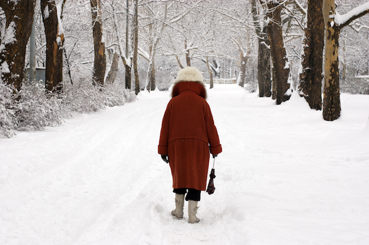 Budapest winter sneeuwwandeling eiland park