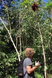 Bukit Lawang op zoek naar orang oetans sumatra