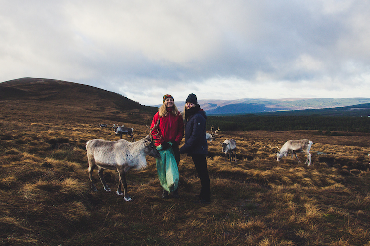 Cairngorms Schotland rendieren met herder