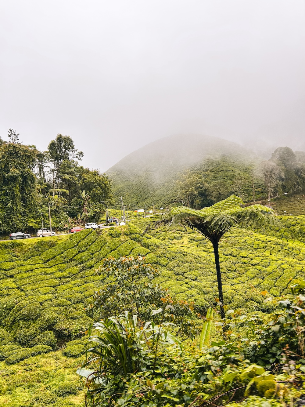 Cameron Highlands Sunrise View Point