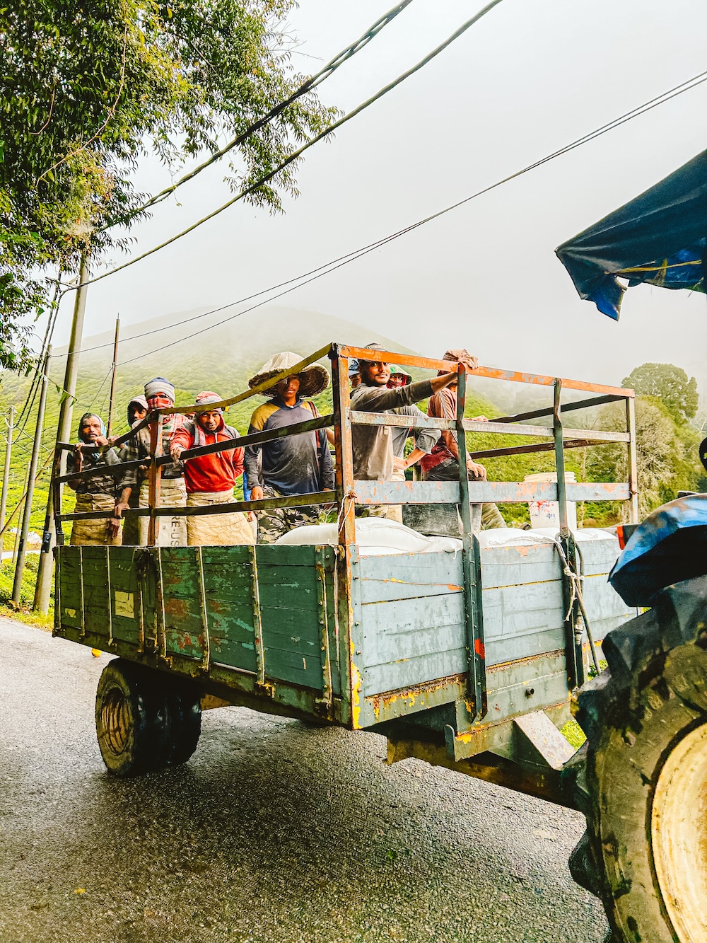 Cameron Highlands Tanah Rata locals