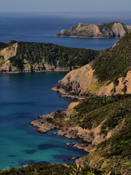 Cape Brett Bay of Islands