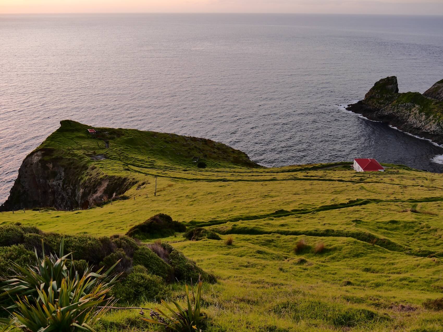 Cape Brett DOC hut