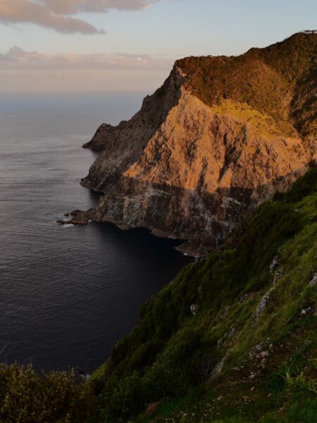 Cape Brett golden hour