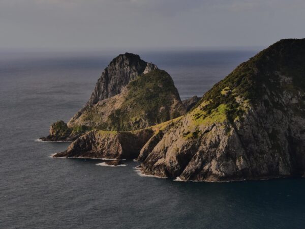 Cape Brett rotskust