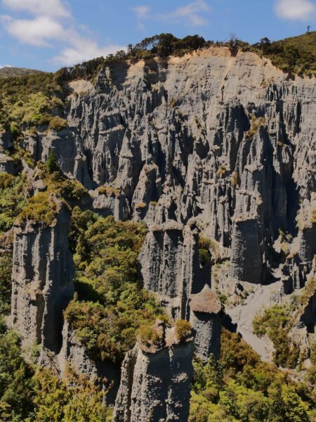 Cape Palliser Pinnacles