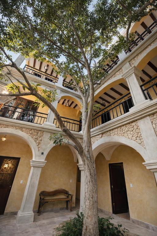 Two-story stucco courtyard with arched porches, a large tree in the center, and a wooden bench along the wall