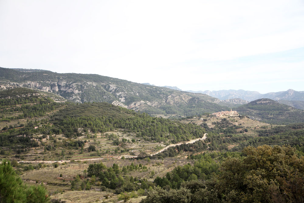 Castellon-Spanje-Tinenca-de-Benifassa-4