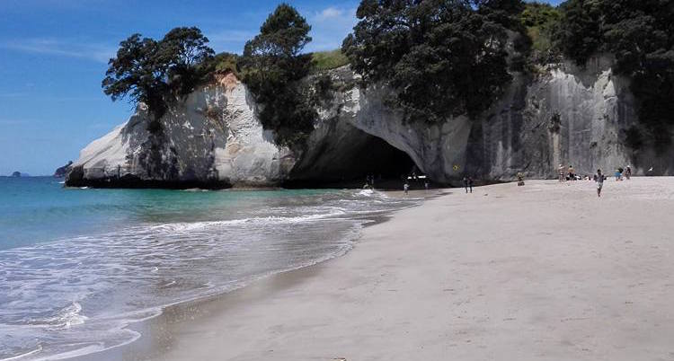 Cathedral cave nieuw zeeland tips