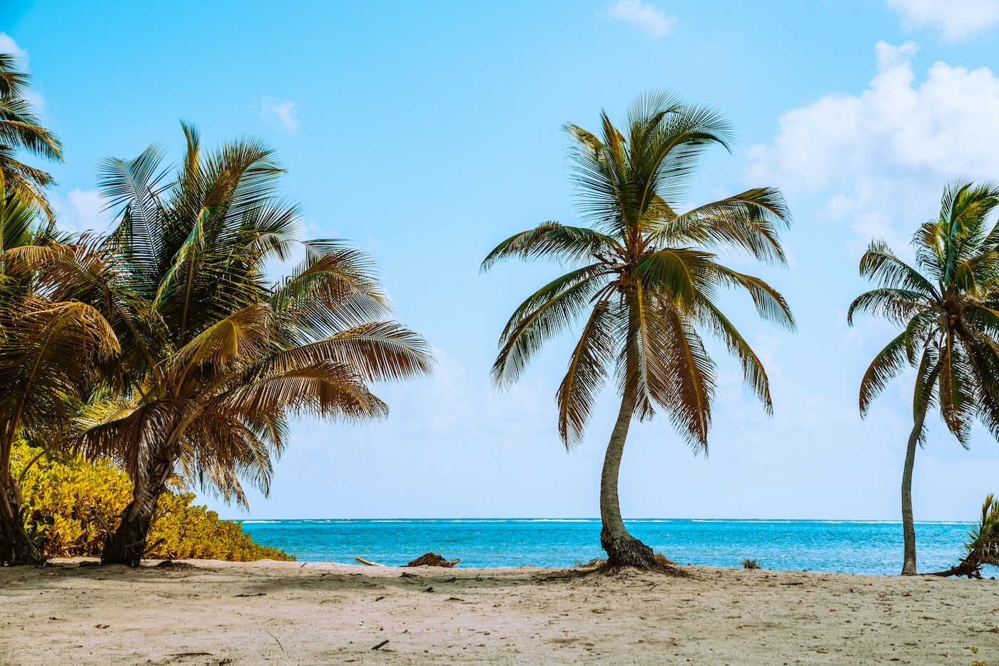 Caye Caulker, palmen op het strand