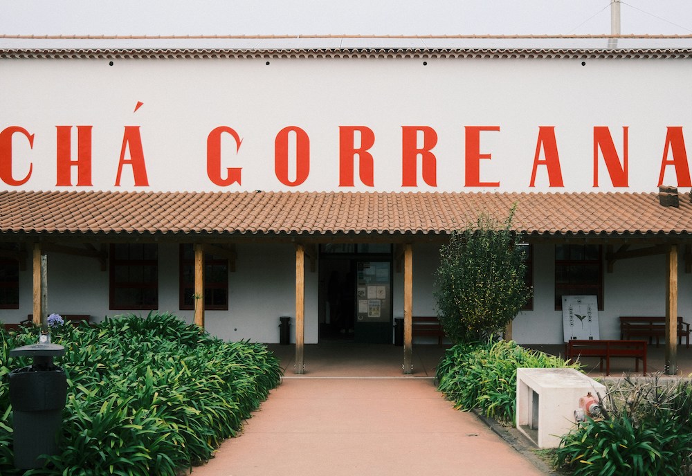 Cha Gorreana sao miguel tips