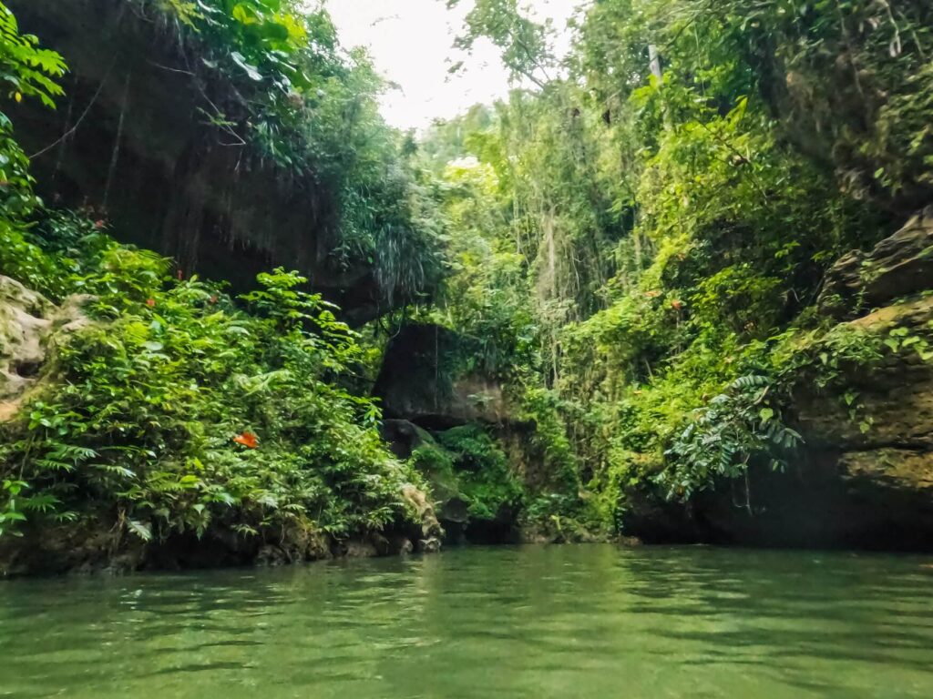 Charco azul Vega Baja