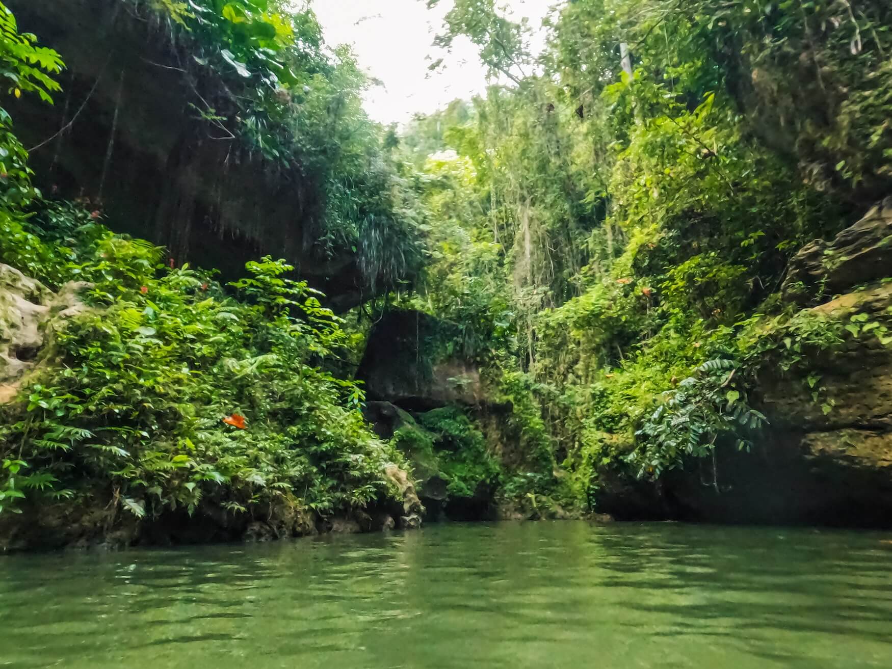 Charco azul Vega Baja