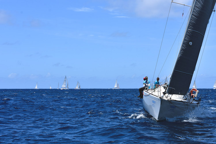 Chase the Race Antigua Sailing week