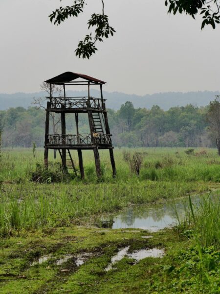 Chitwan National Park rusttoren