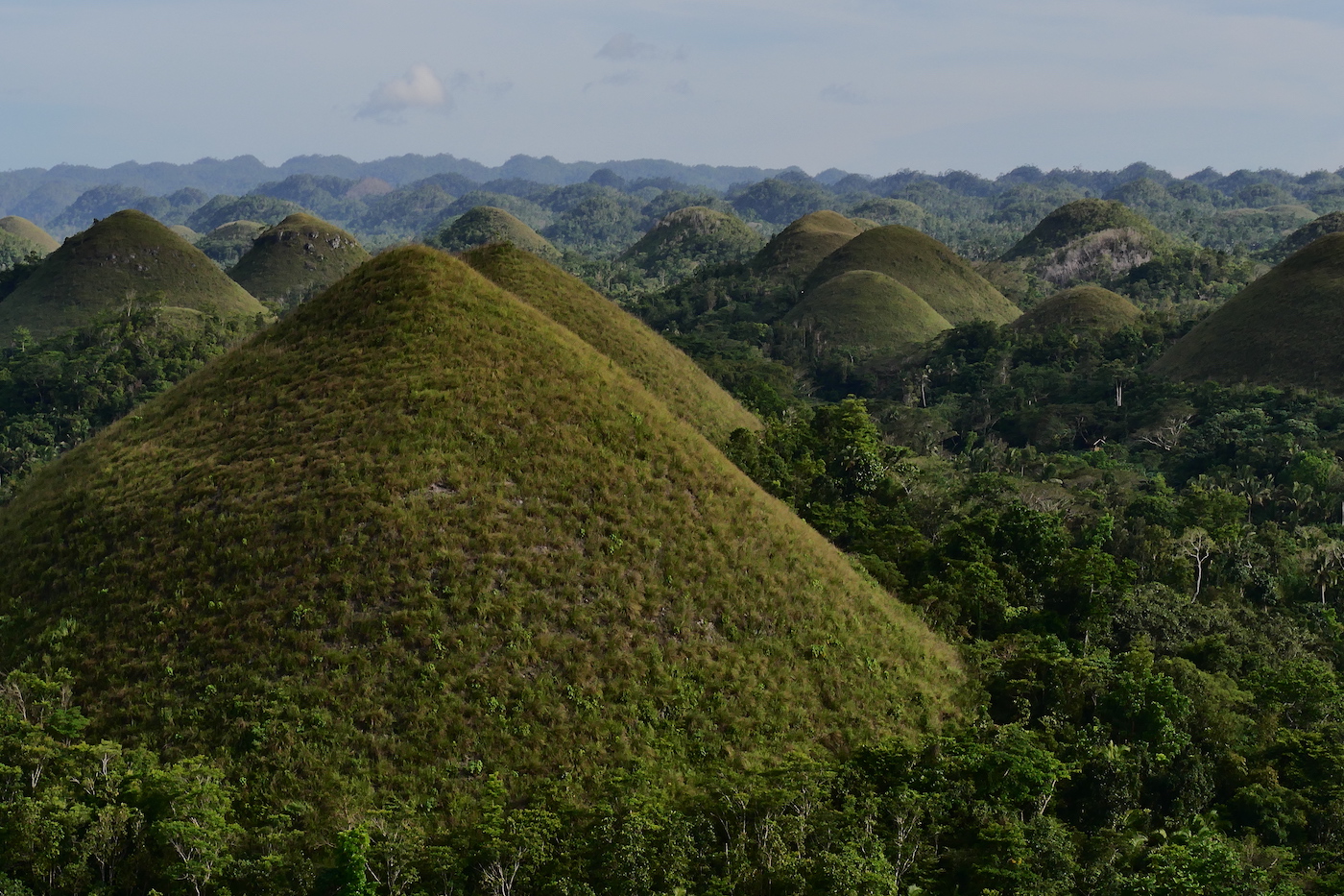 Chocolate Hills bohol bezoeken