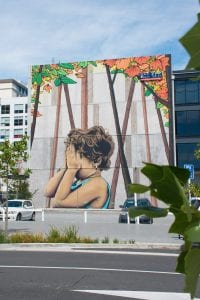 Christchurch Nieuw Zeeland streetart