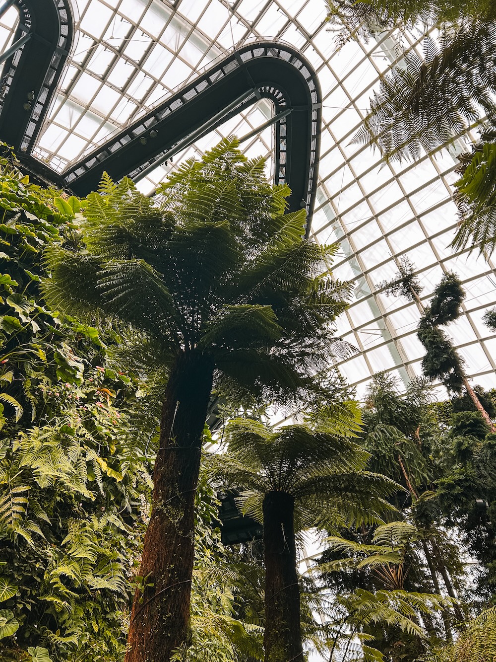Cloud Forest Singapore