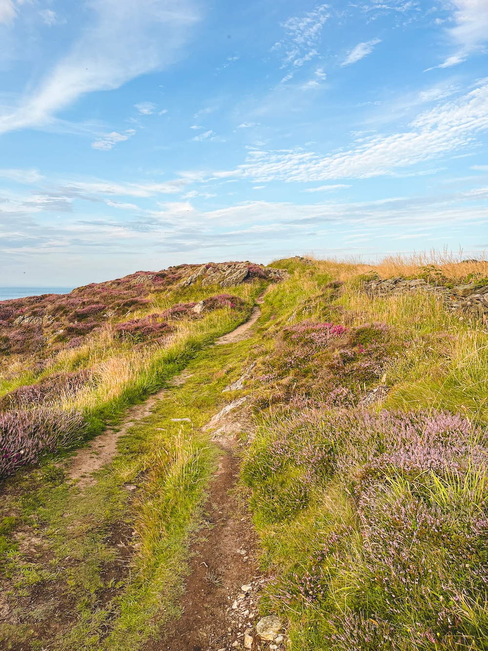 Coastal Path Anglesey