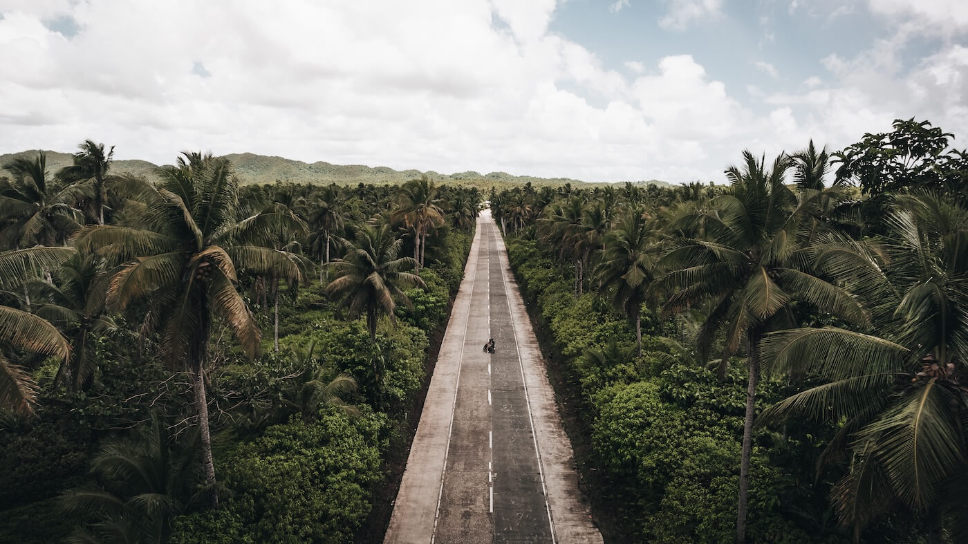 Coconut Road, Natuur Filipijnen