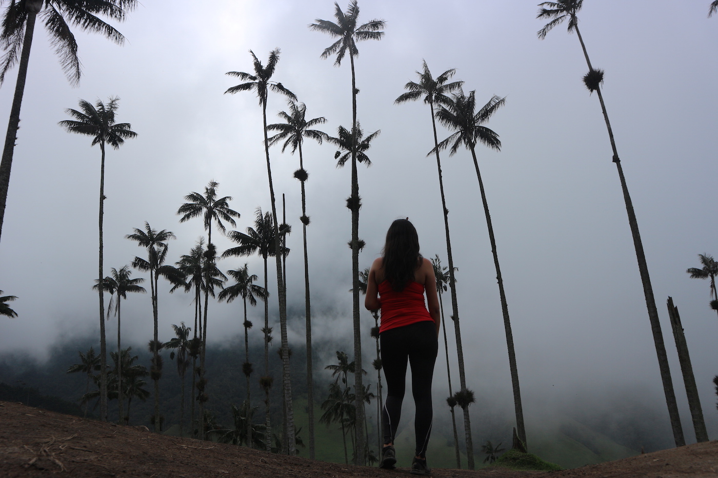Cocora de valley alleen backpacken colombia