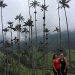 Cocora de valley colombia