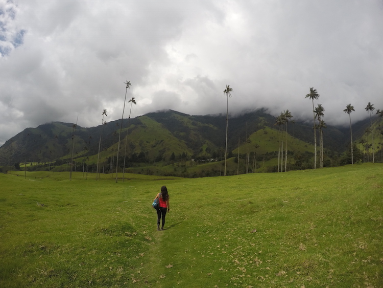 Colombia backpacken Cocora de Valley