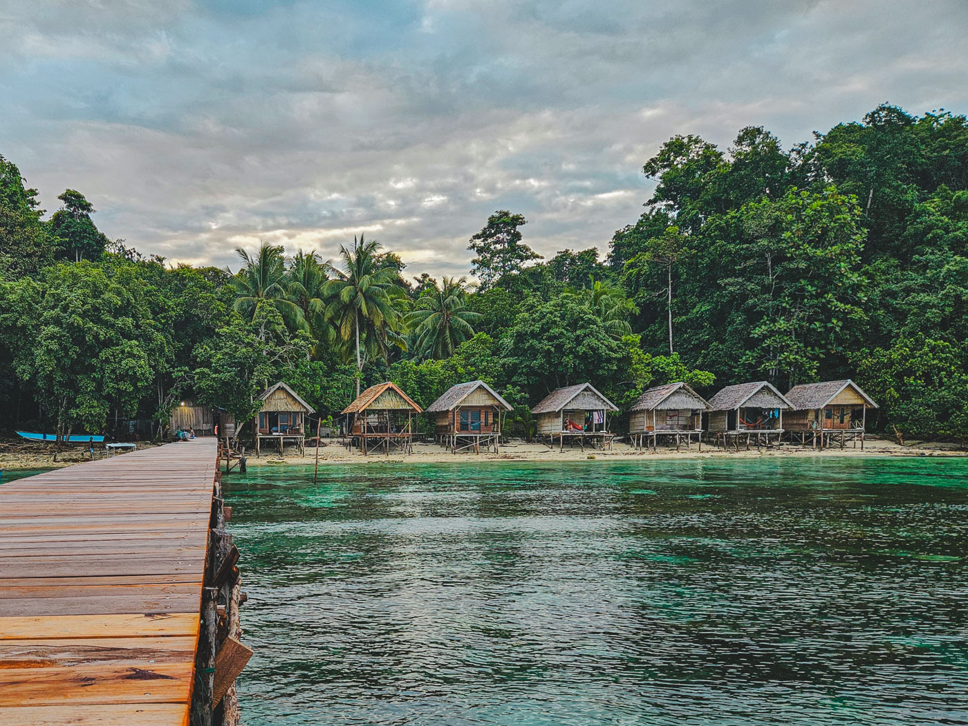 Corepen Raja ampat island