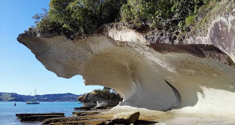 Coromandel bij cooks beach nieuw zeeland tips