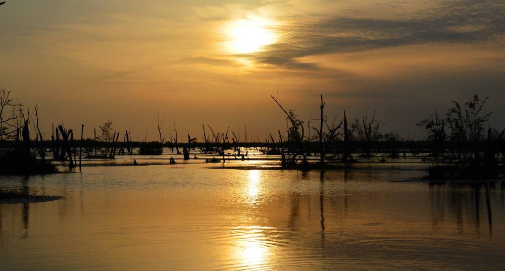 Cultuur suriname
