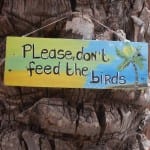 Curcao please don't feed the birds