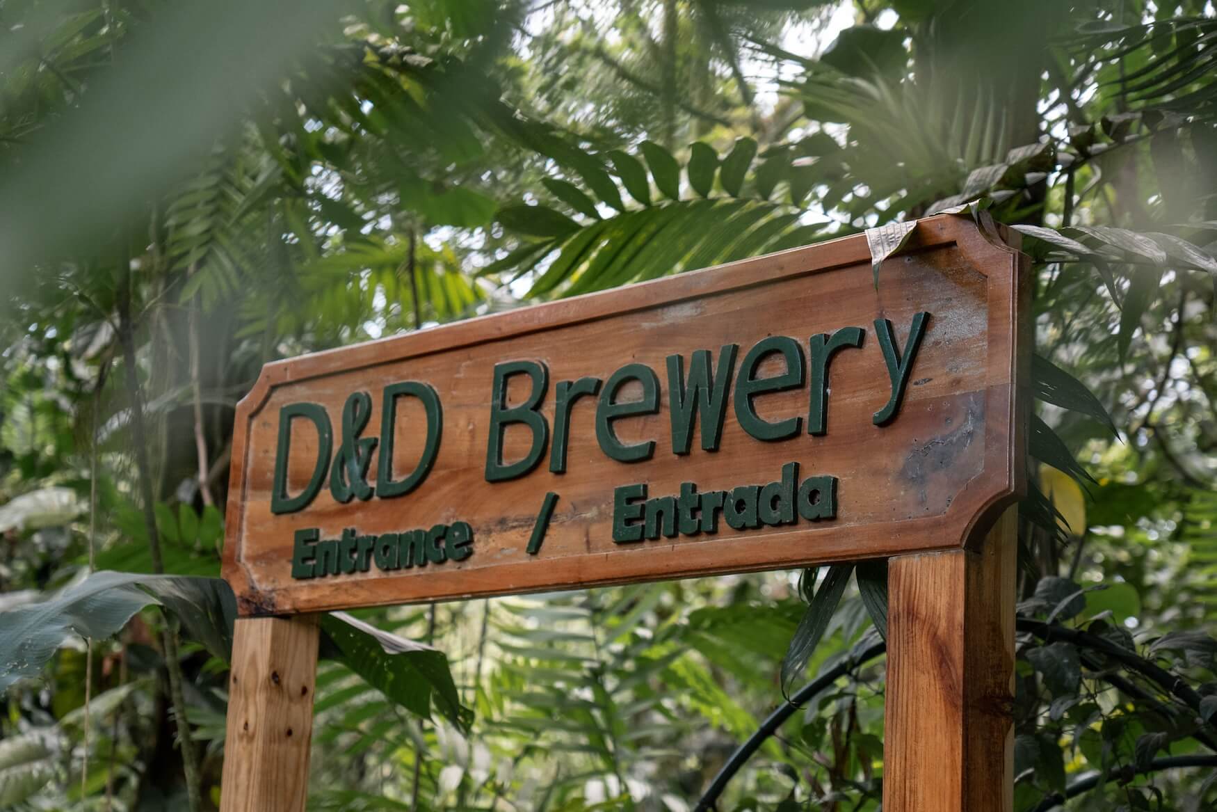 D&D Brewery, Lake Yojoa