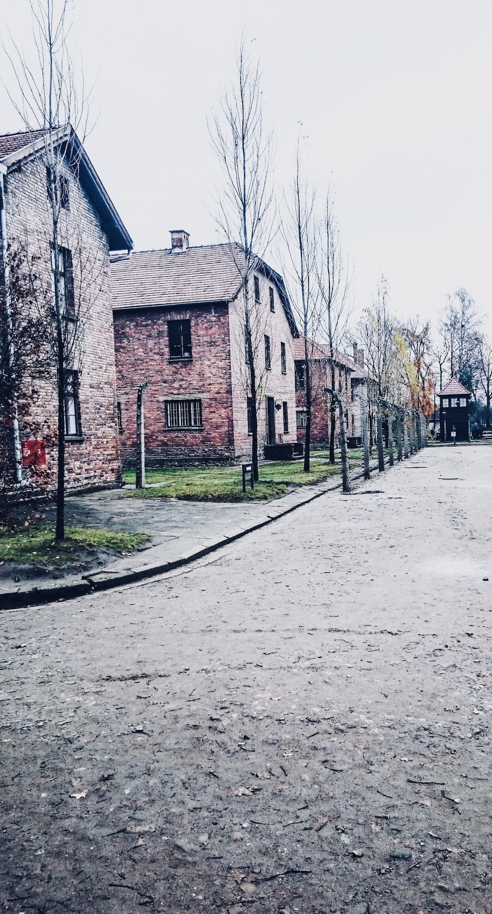 Wat te doen in Krakau, Auschwitz