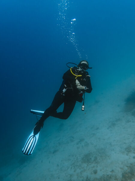 Dauin Duiken FIlipijnen