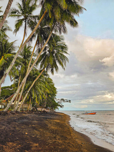 Dauin filipijnen Zwarte stranden 2
